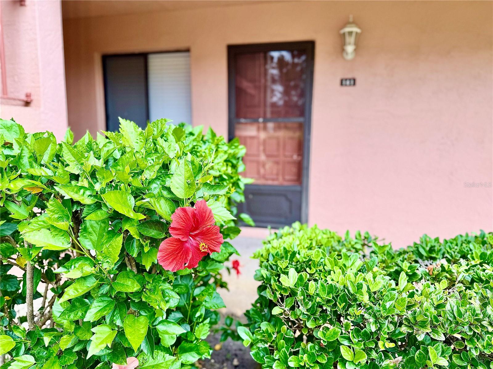 Details for 141 Lakeside Drive, OLDSMAR, FL 34677