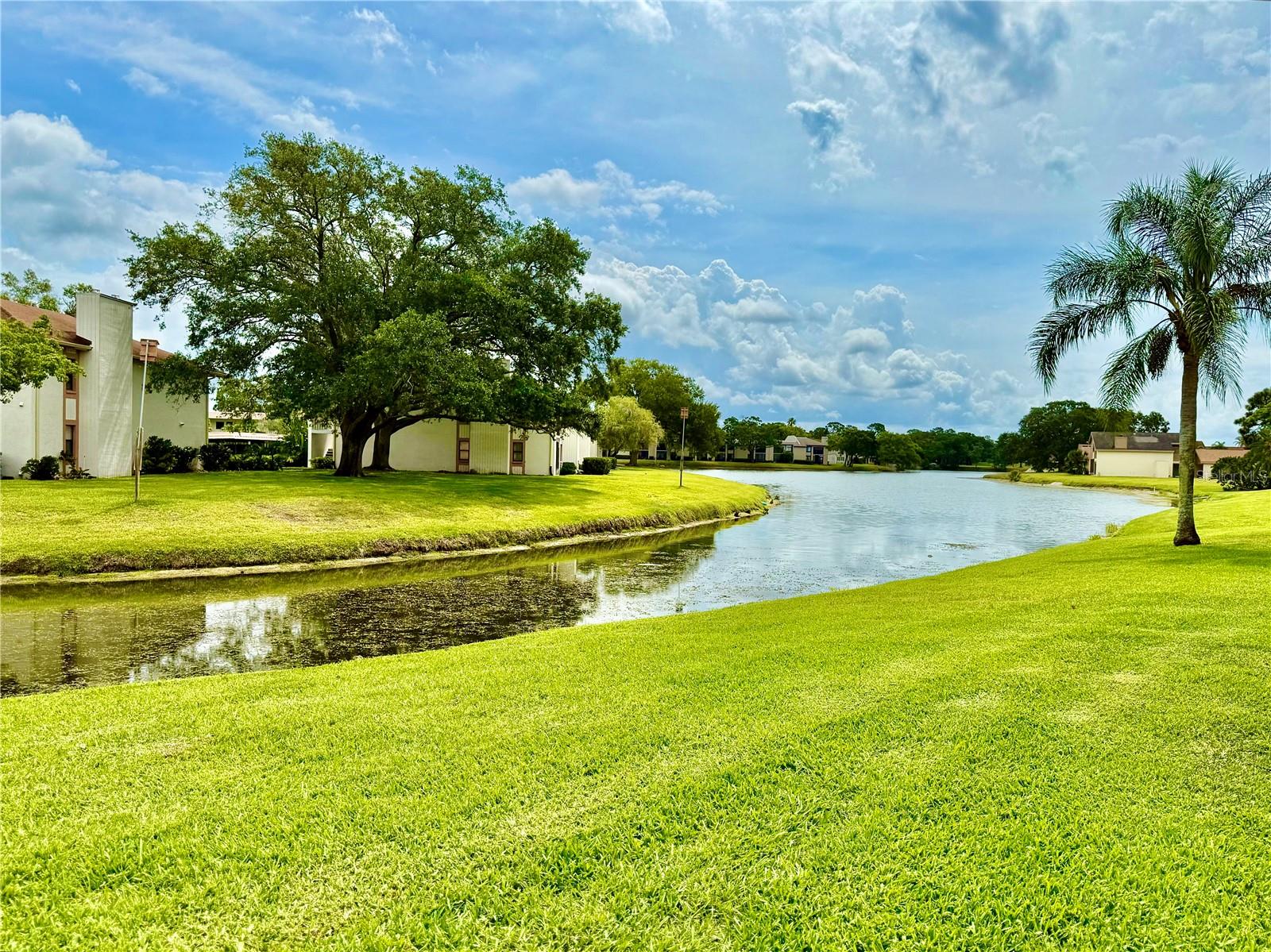 Image 21 of 48 For 141 Lakeside Drive
