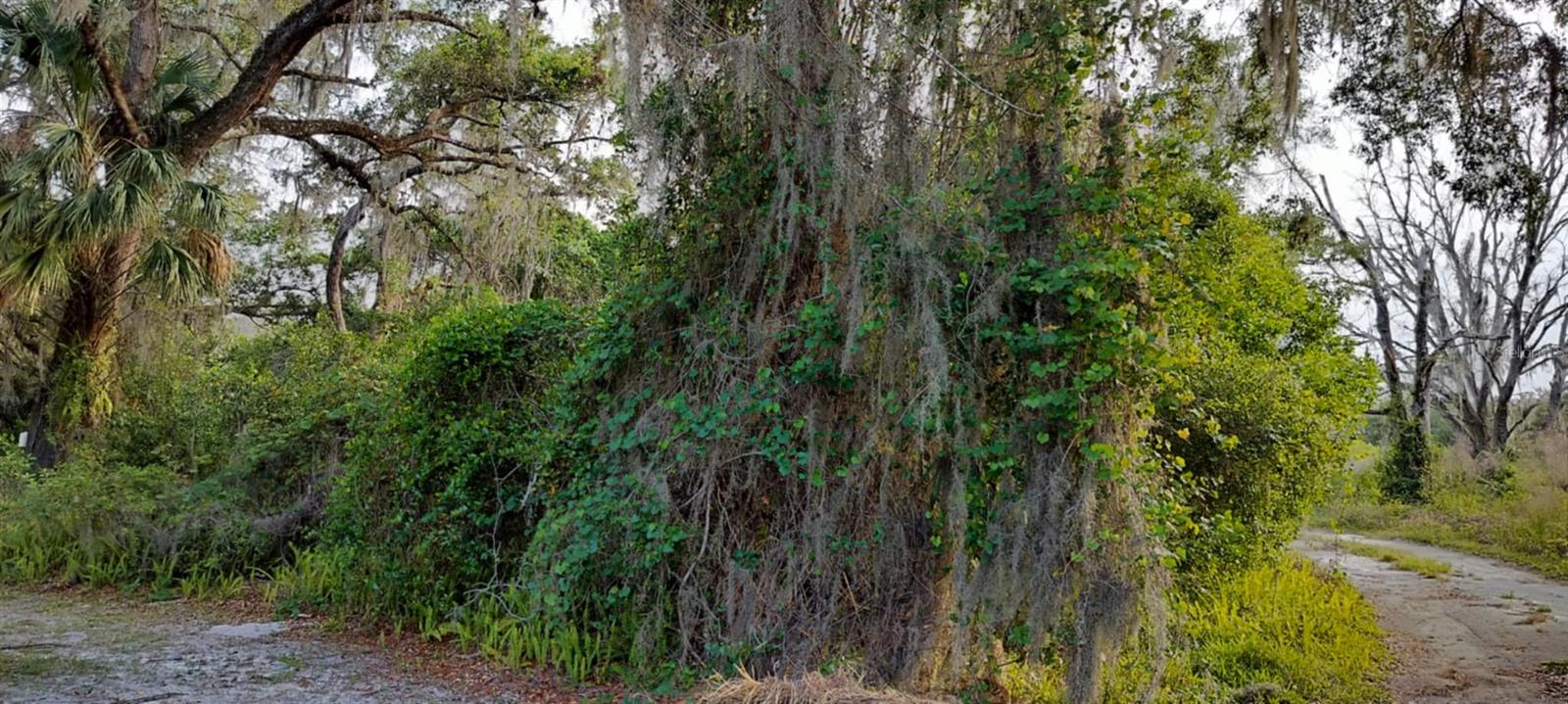 Details for 63 Sheltering Oaks Drive, INVERNESS, FL 34453