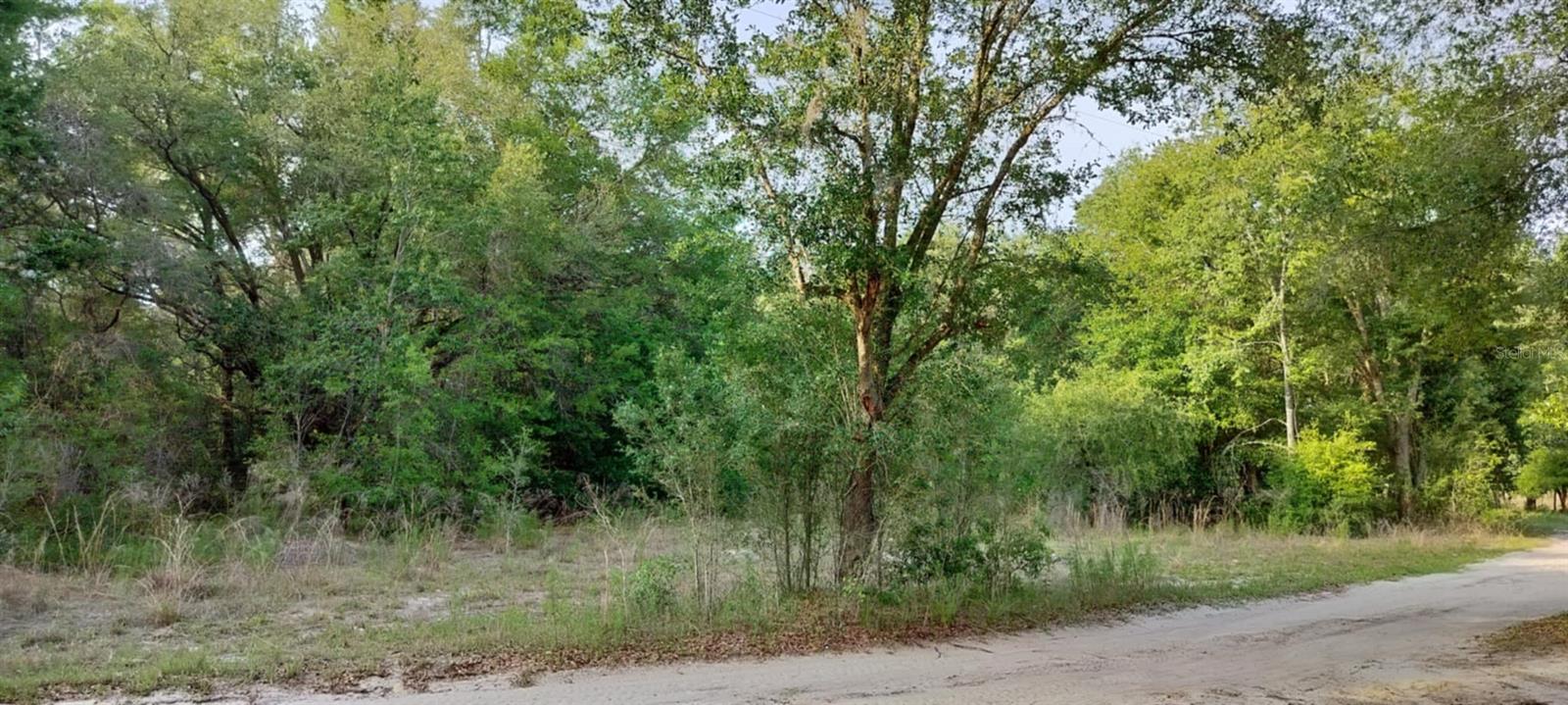 Details for 2608 Polk Street, INVERNESS, FL 34453