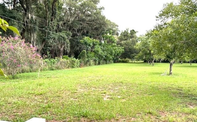 Image 8 of 39 For 37234 Jernstrom Lane