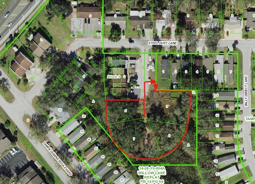 Details for Steel Dust Ln, LUTZ, FL 33559