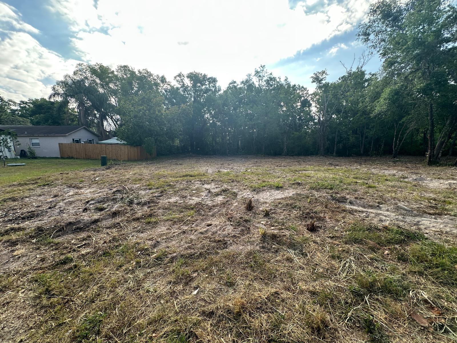 Image 4 of 6 For Steel Dust Ln