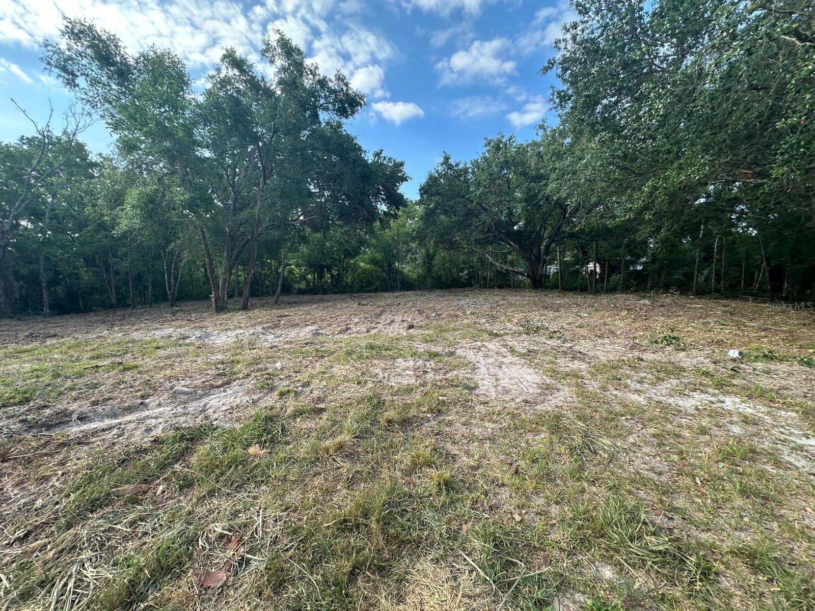 Image 5 of 6 For Steel Dust Ln