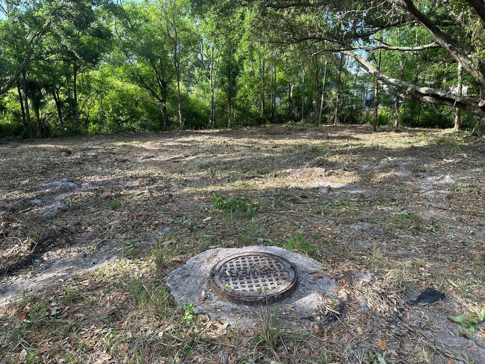 Image 6 of 6 For Steel Dust Ln