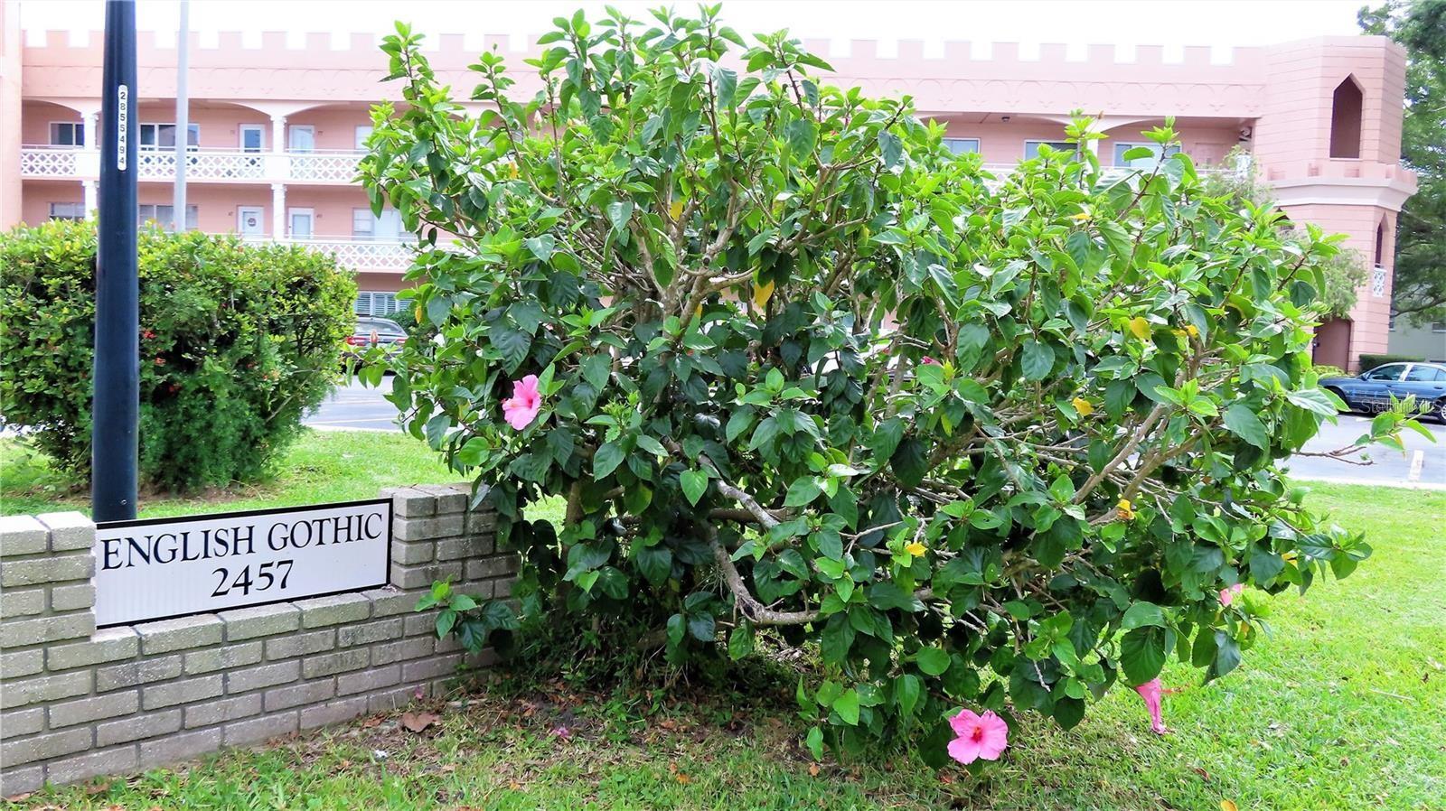 Details for 2457 Ecuadorian Way 85, CLEARWATER, FL 33763