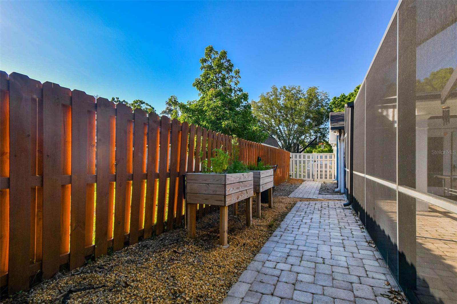Listing photo id 45 for 3304 Latania Drive