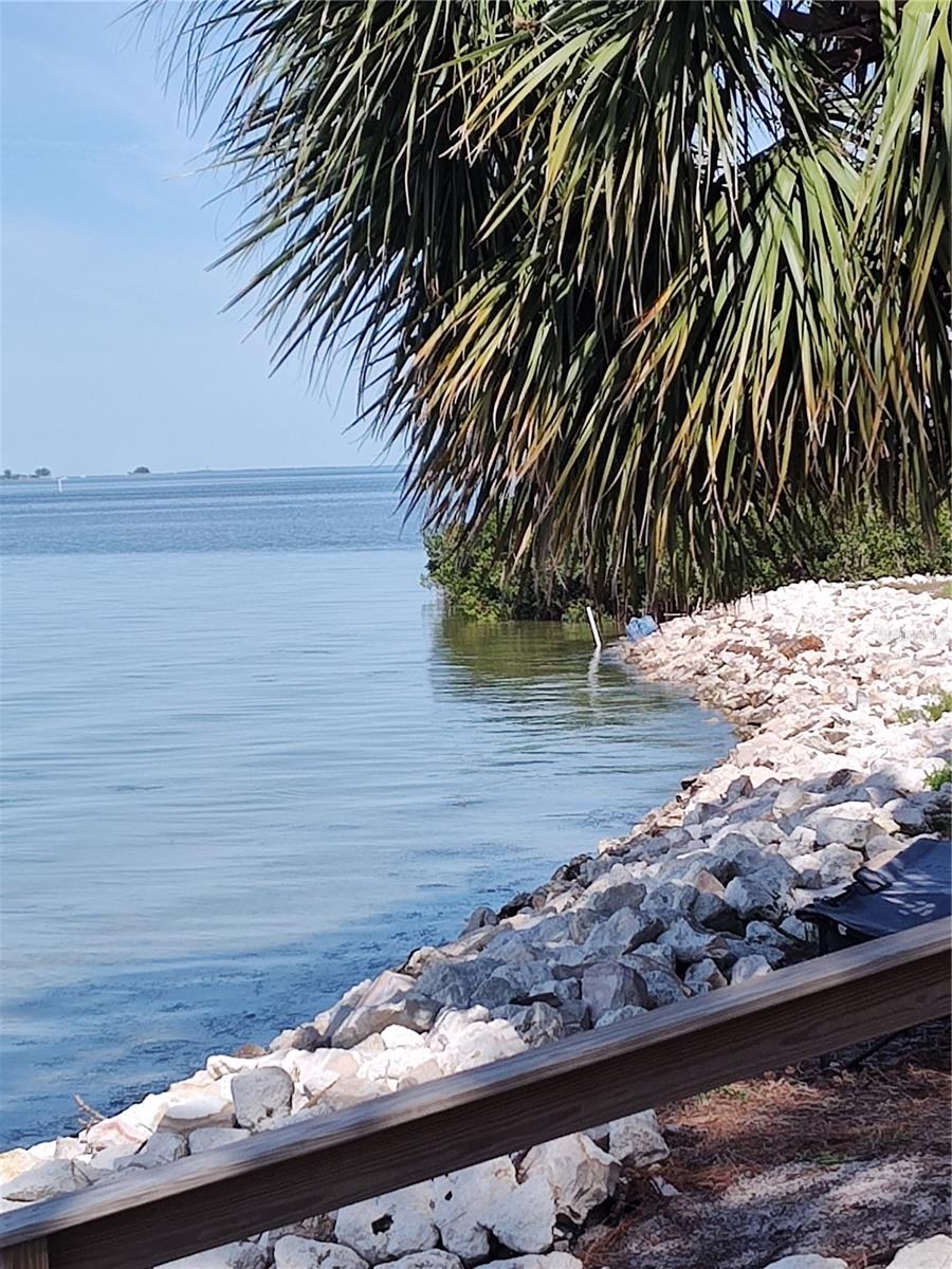 Image 20 of 20 For 2700 Bayshore Blvd #561  561