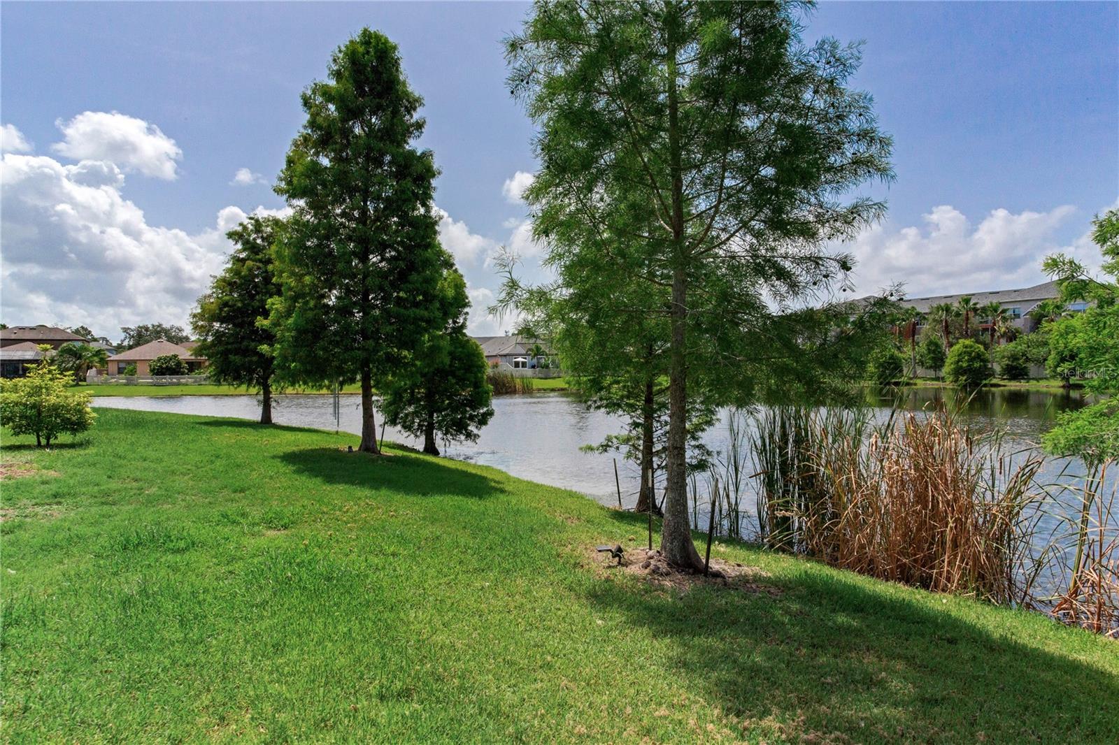 Image 77 of 86 For 11320 Lazy Hickory Lane