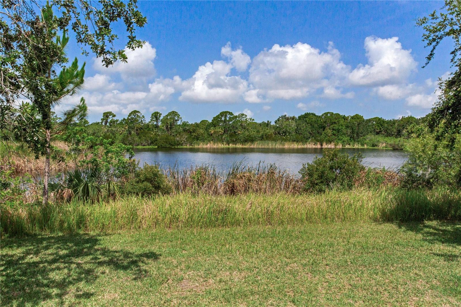 Image 79 of 86 For 11320 Lazy Hickory Lane