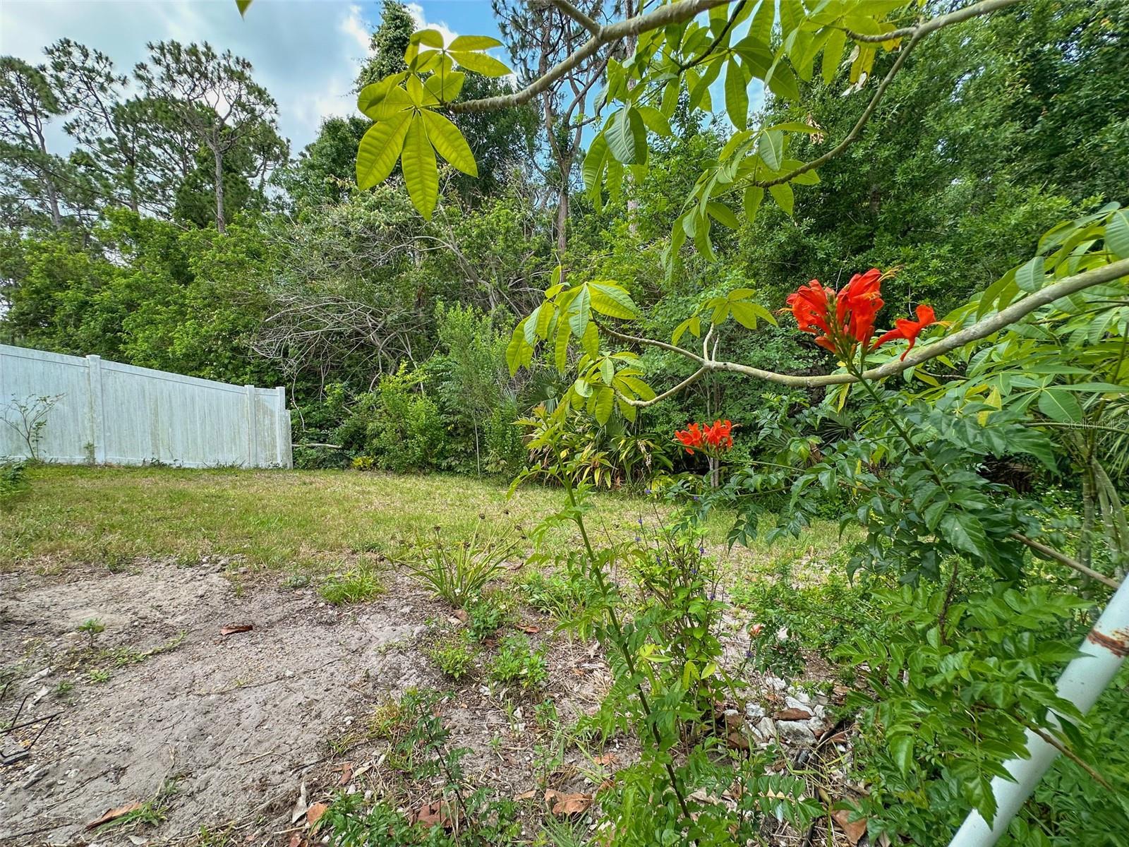 Image 37 of 100 For 2349 Wood Pointe Drive