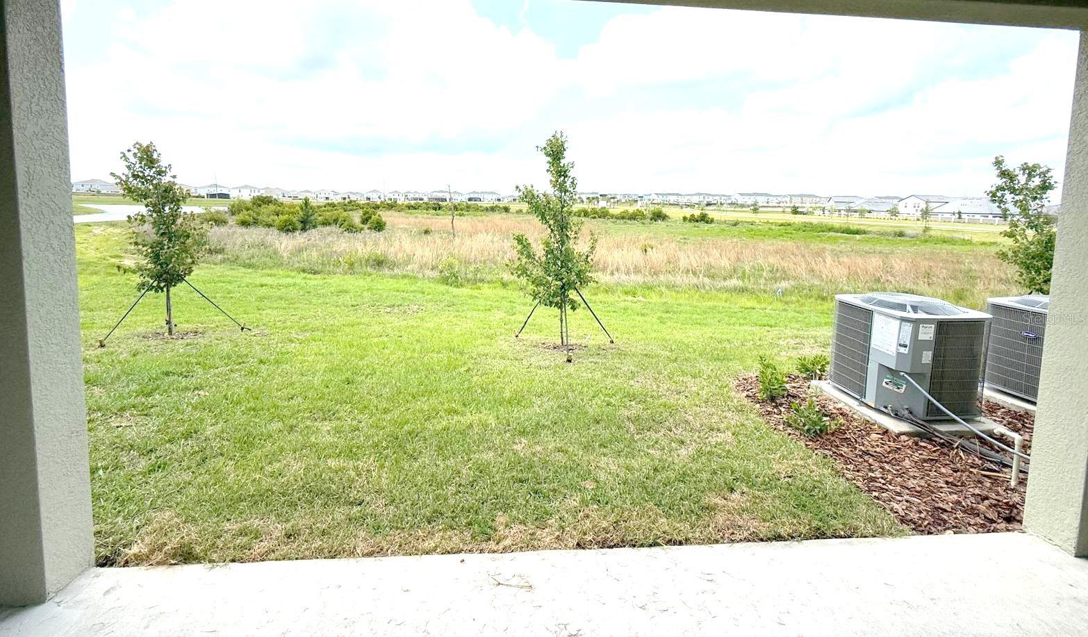 Image 17 of 24 For 32037 Spiceberry Street