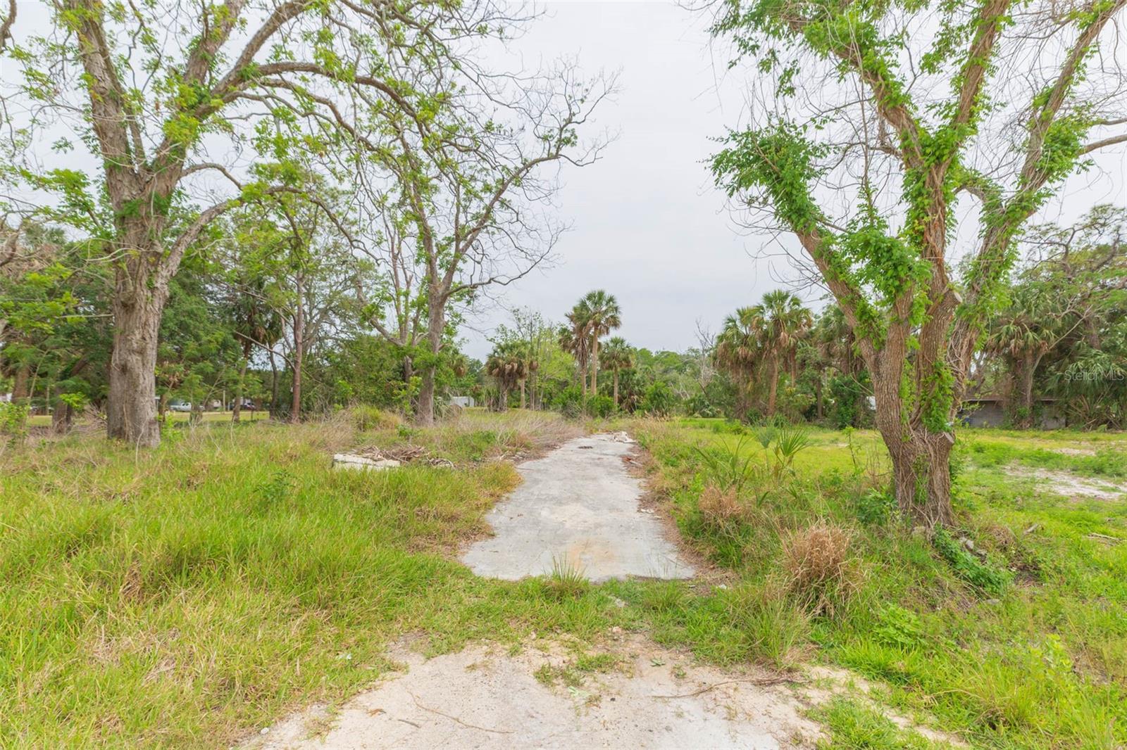 Listing photo id 1 for 14639 Conner Drive