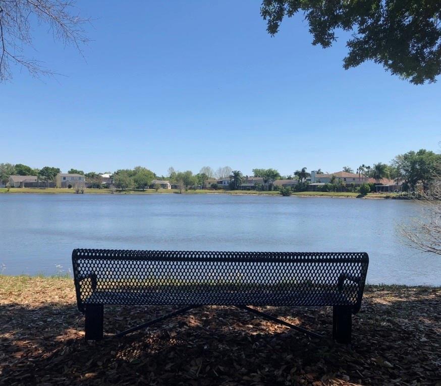 Listing photo id 41 for 11619 Fox Creek Drive