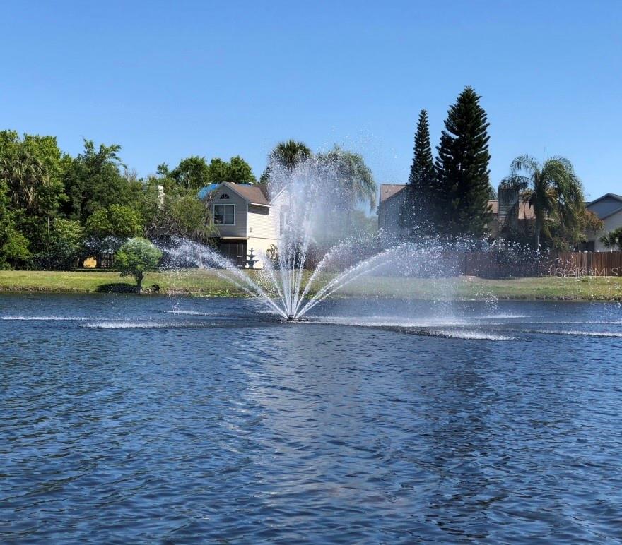 Listing photo id 42 for 11619 Fox Creek Drive