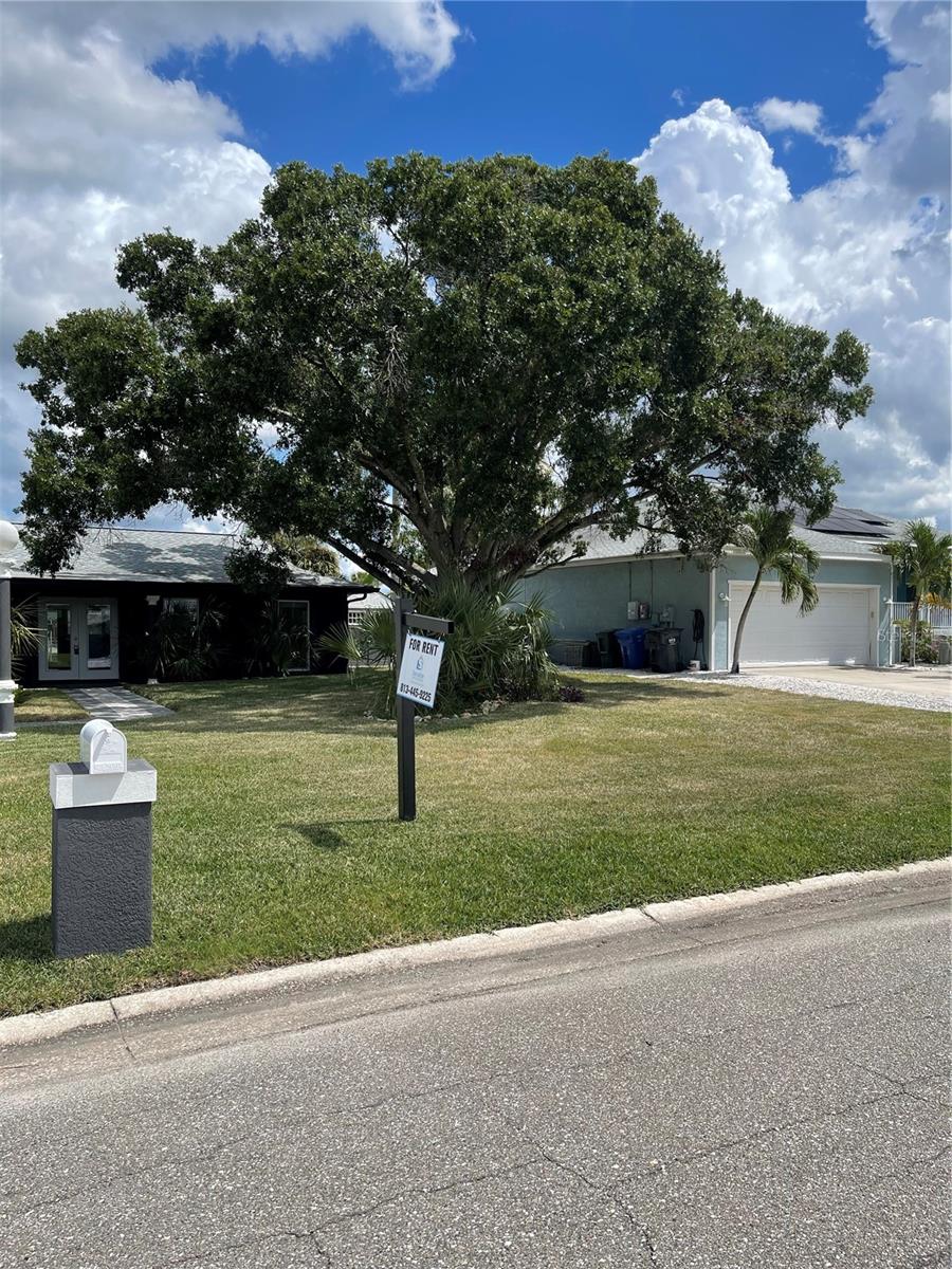 Image 50 of 59 For 1019 Spindle Palm Way