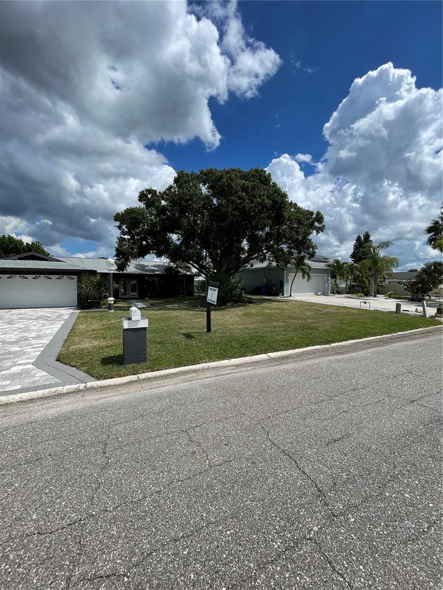 Image 51 of 59 For 1019 Spindle Palm Way
