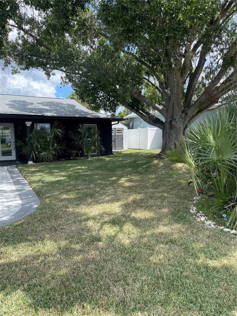 Image 56 of 59 For 1019 Spindle Palm Way
