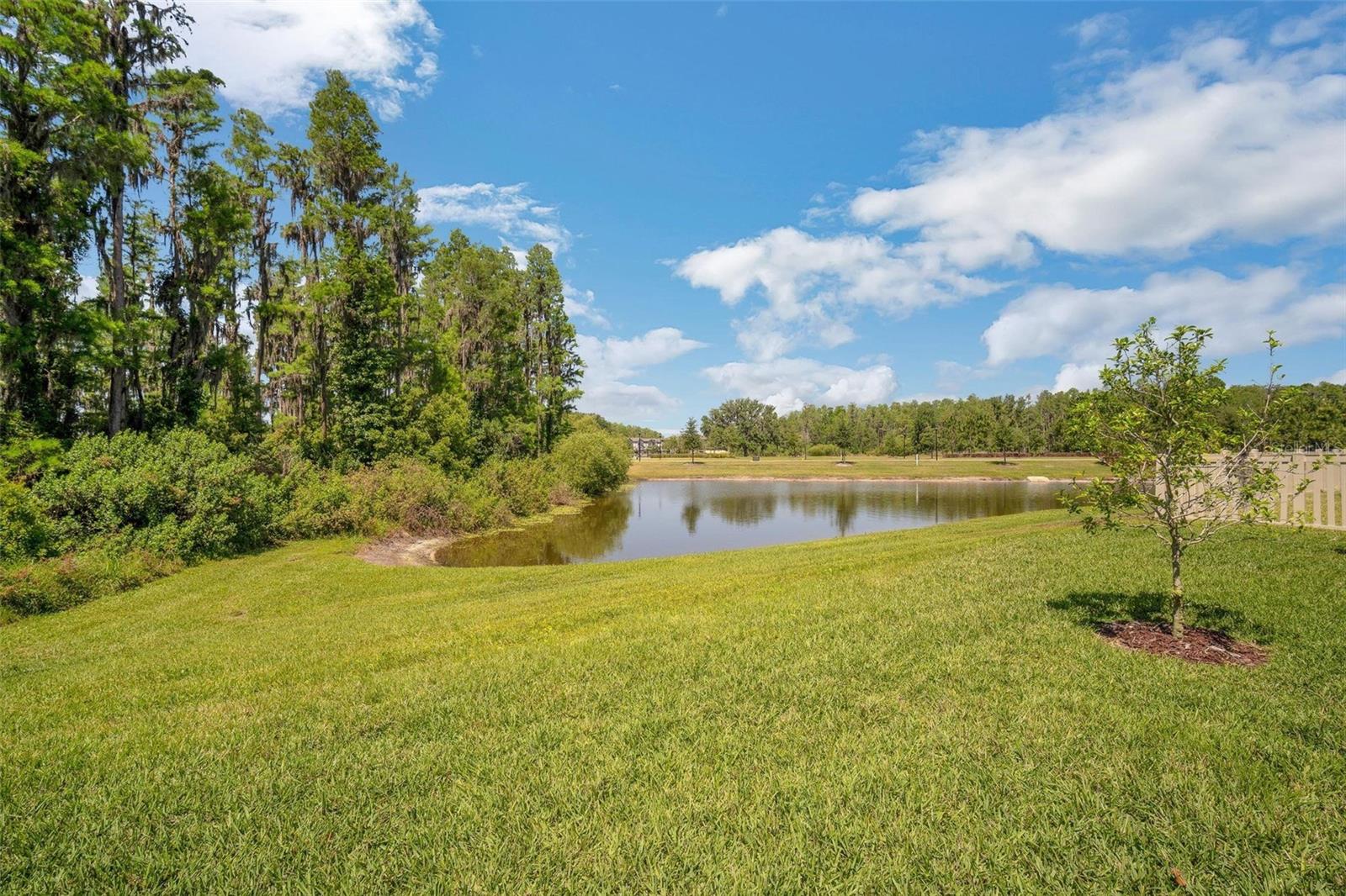 Image 43 of 45 For 10945 Sundrift Drive