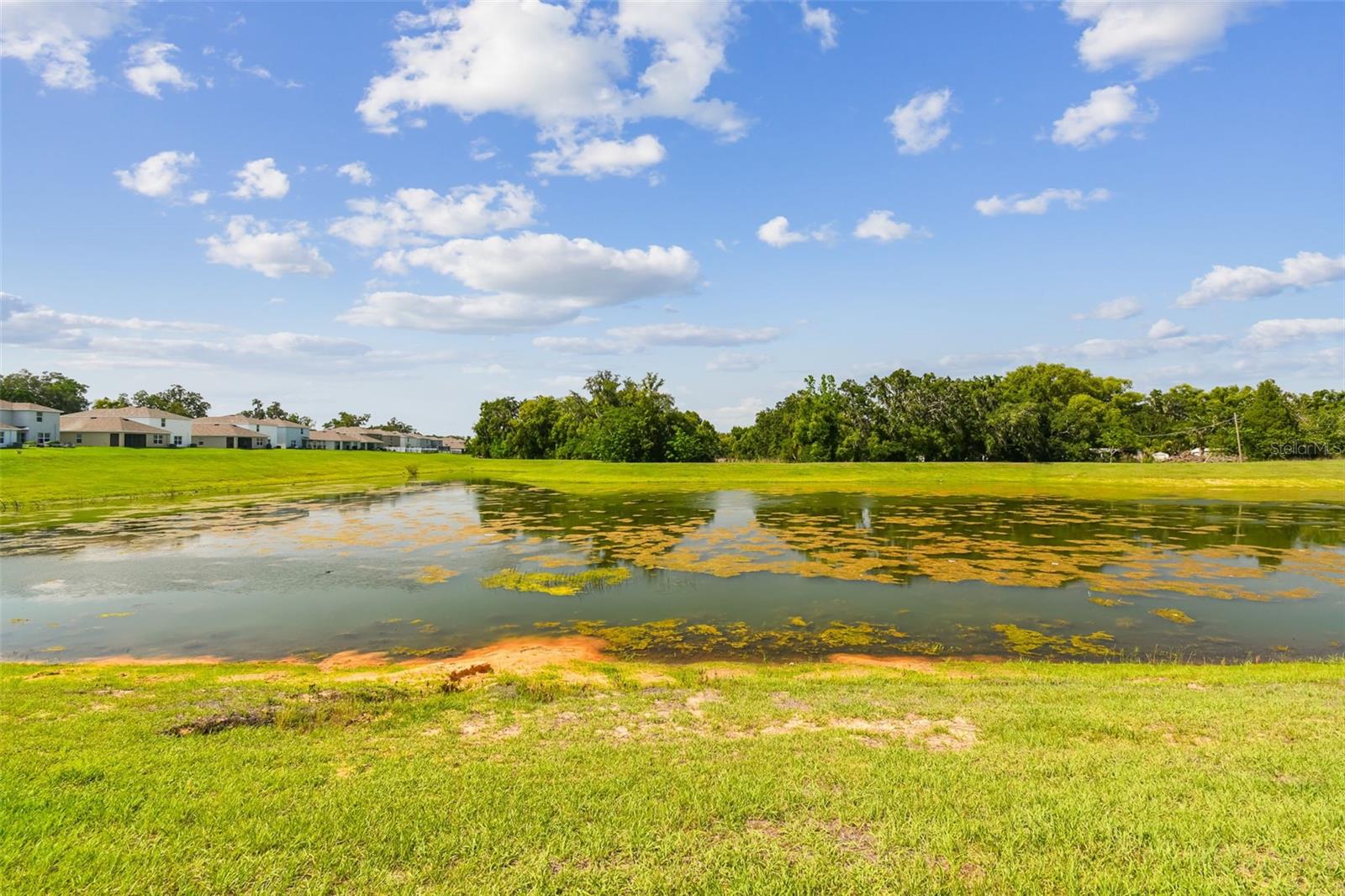 Listing photo id 2 for 36673 Spanish Rose Drive