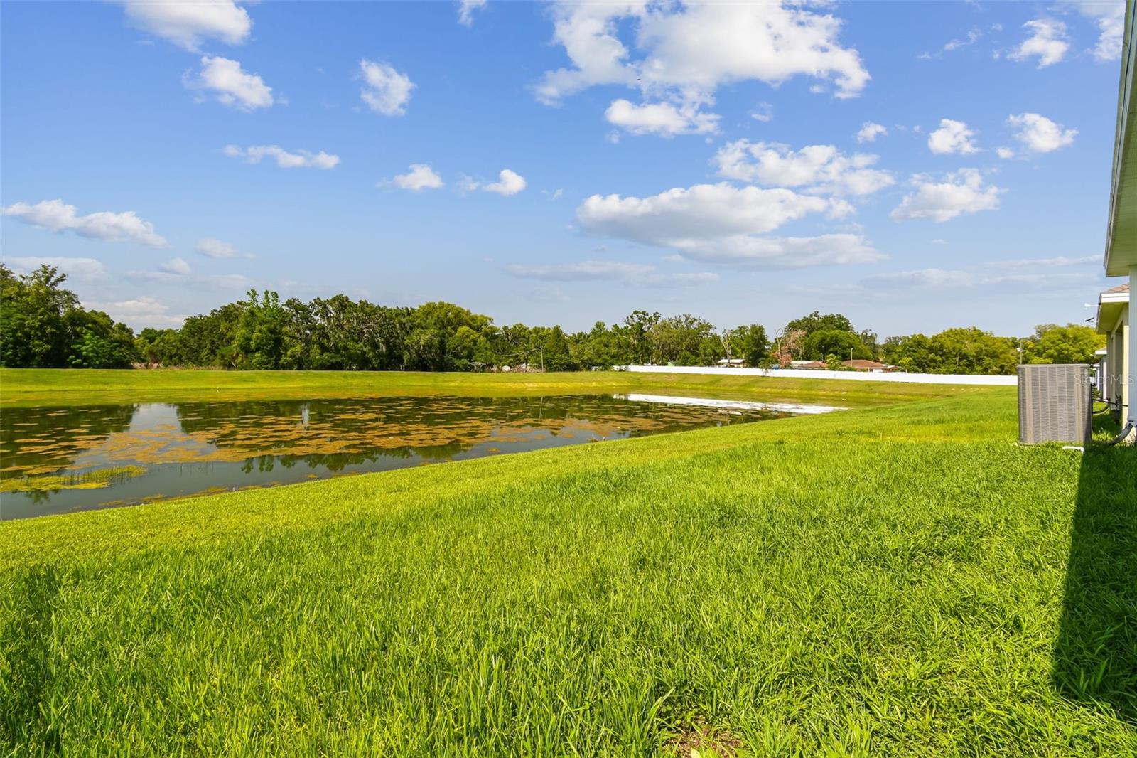 Listing photo id 48 for 36673 Spanish Rose Drive