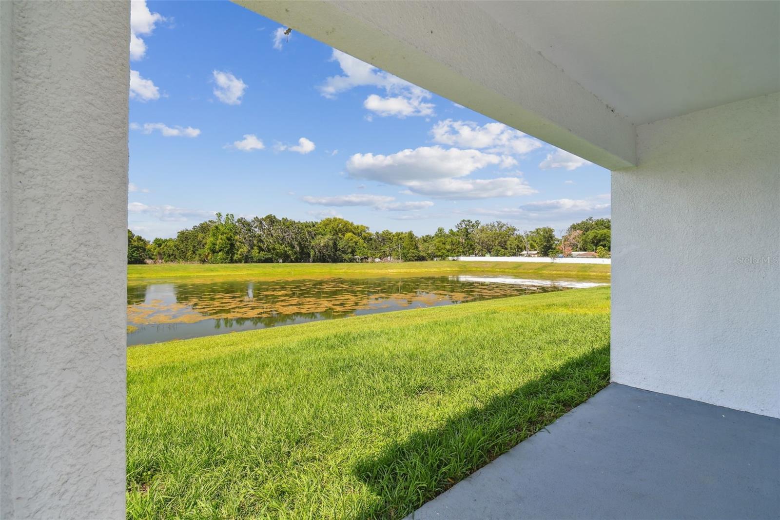 Listing photo id 59 for 36673 Spanish Rose Drive