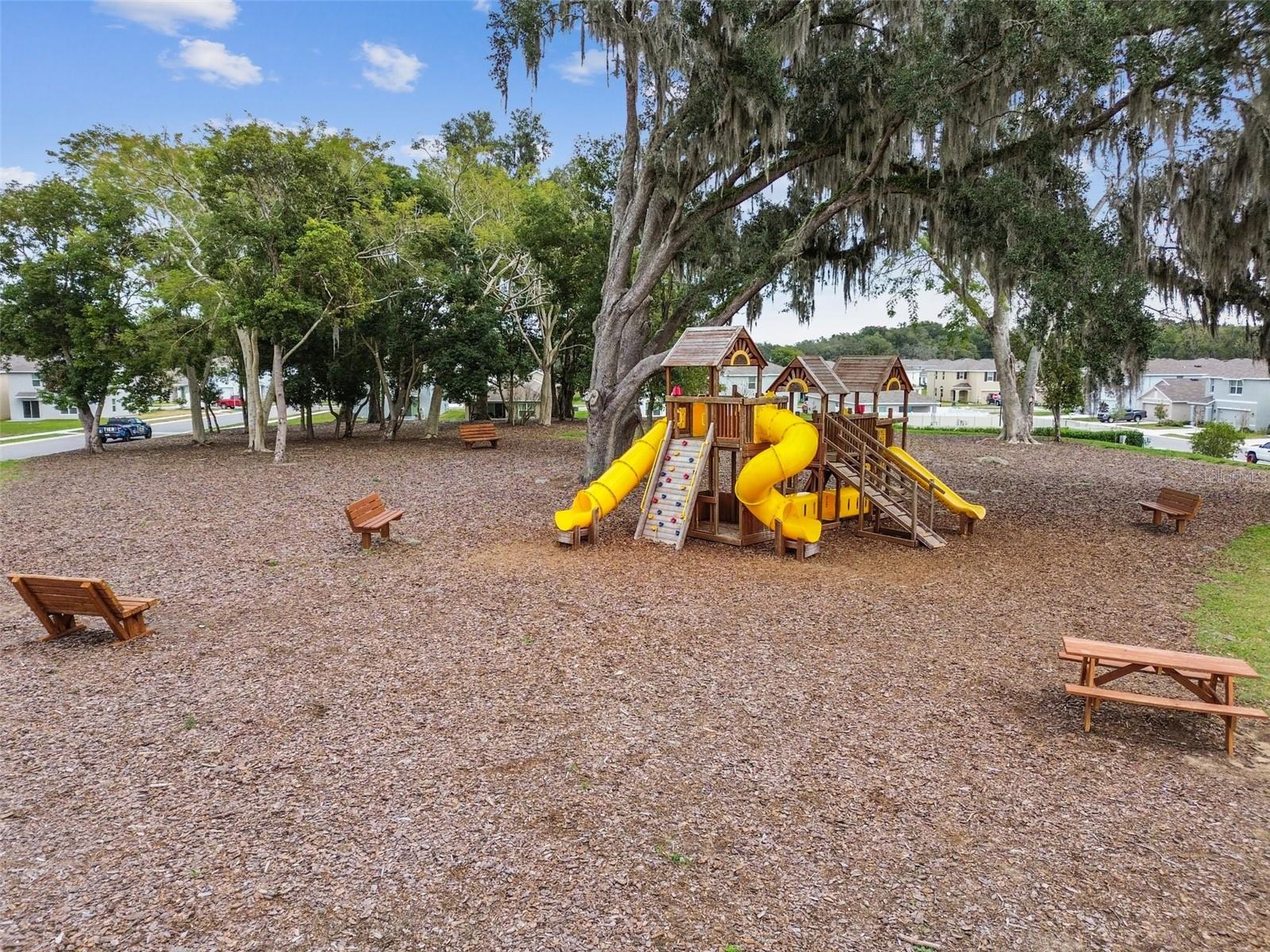 Listing photo id 80 for 36673 Spanish Rose Drive