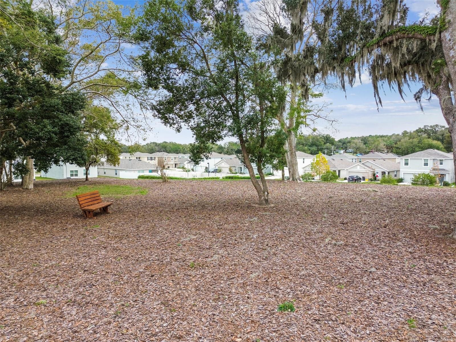 Listing photo id 82 for 36673 Spanish Rose Drive