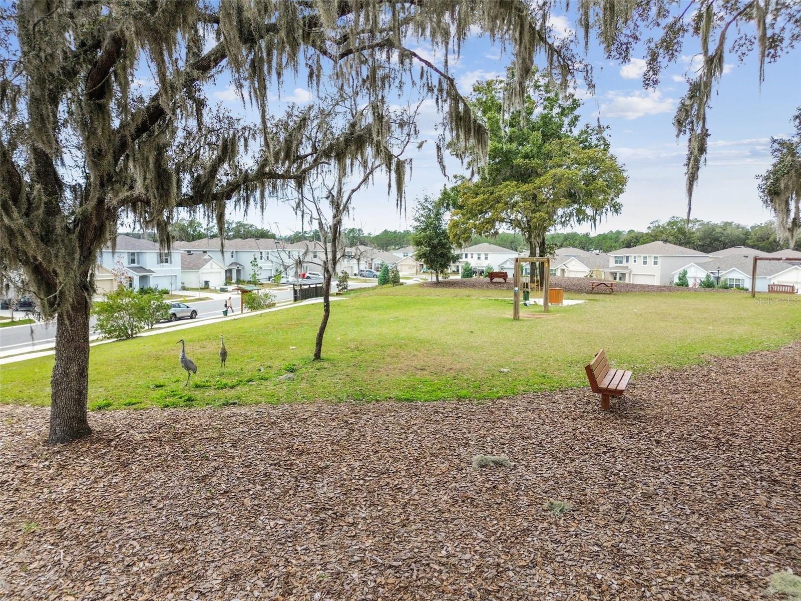 Listing photo id 83 for 36673 Spanish Rose Drive