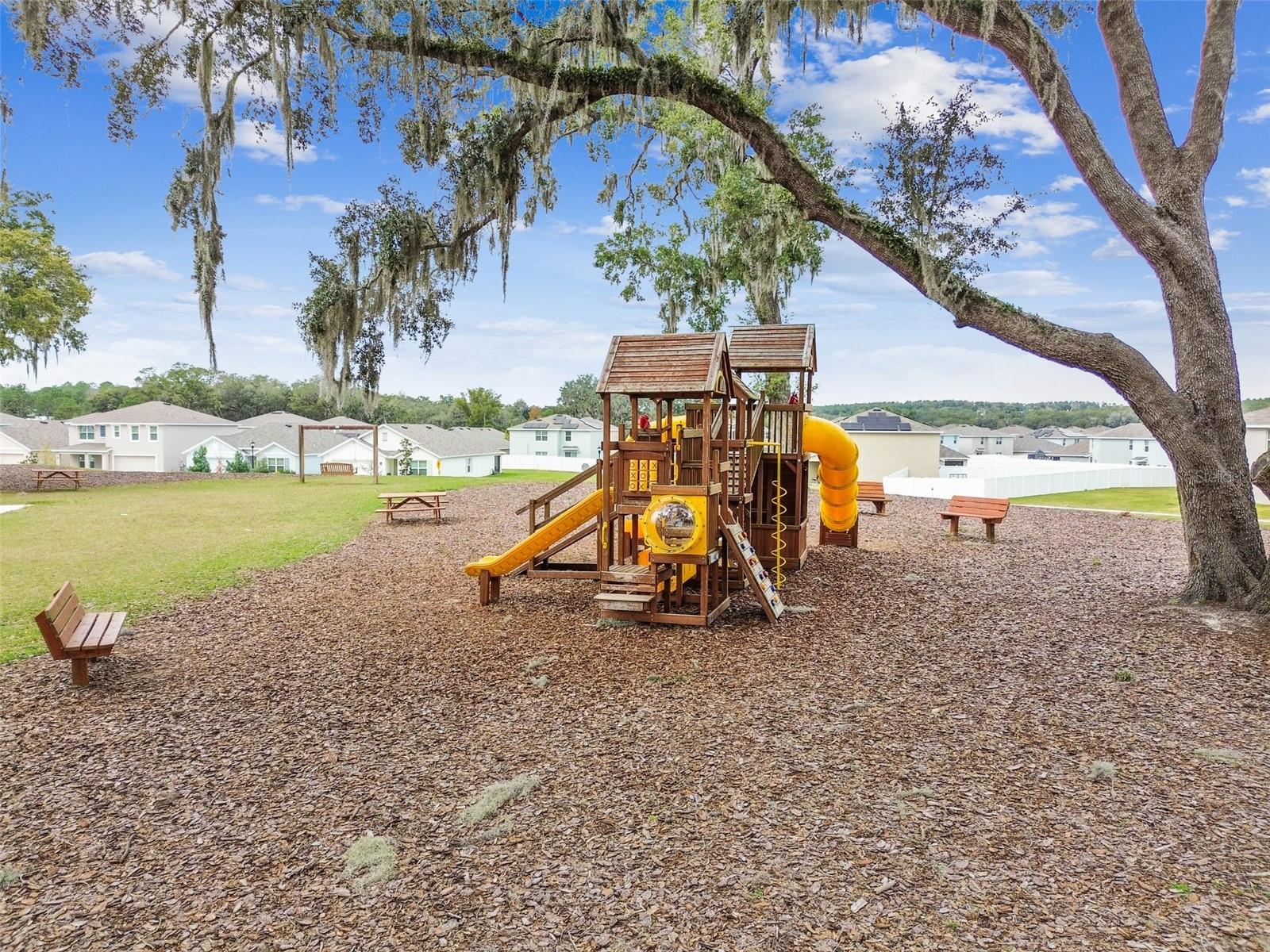 Listing photo id 84 for 36673 Spanish Rose Drive