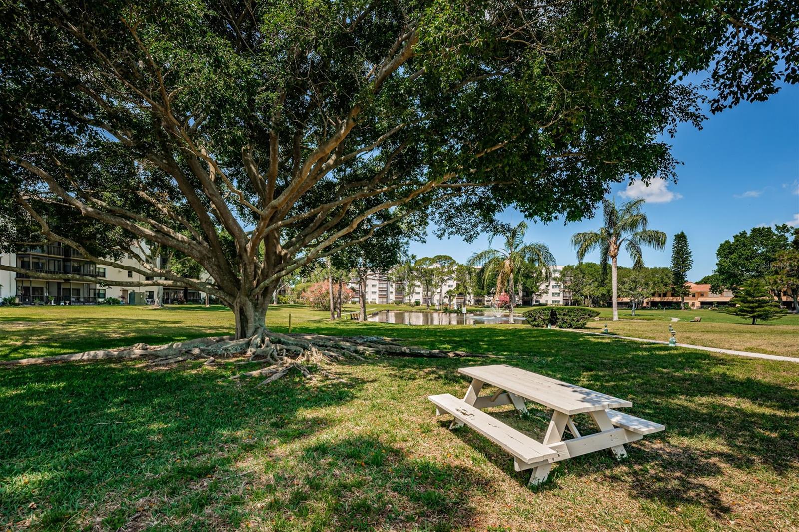Image 74 of 75 For 6190 80th Street N 411