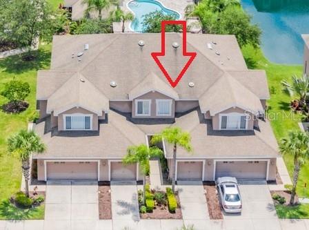 Details for 10329 Willow Leaf Trail, TAMPA, FL 33625