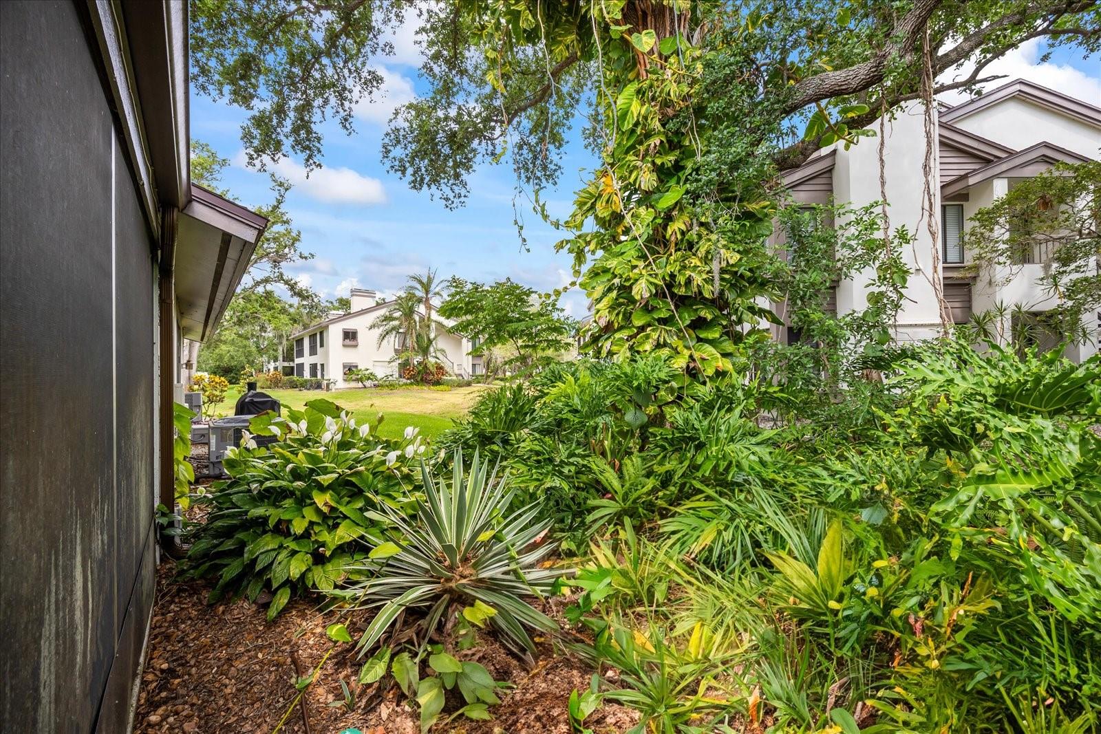 Image 30 of 34 For 1815 Cypress Trace Drive