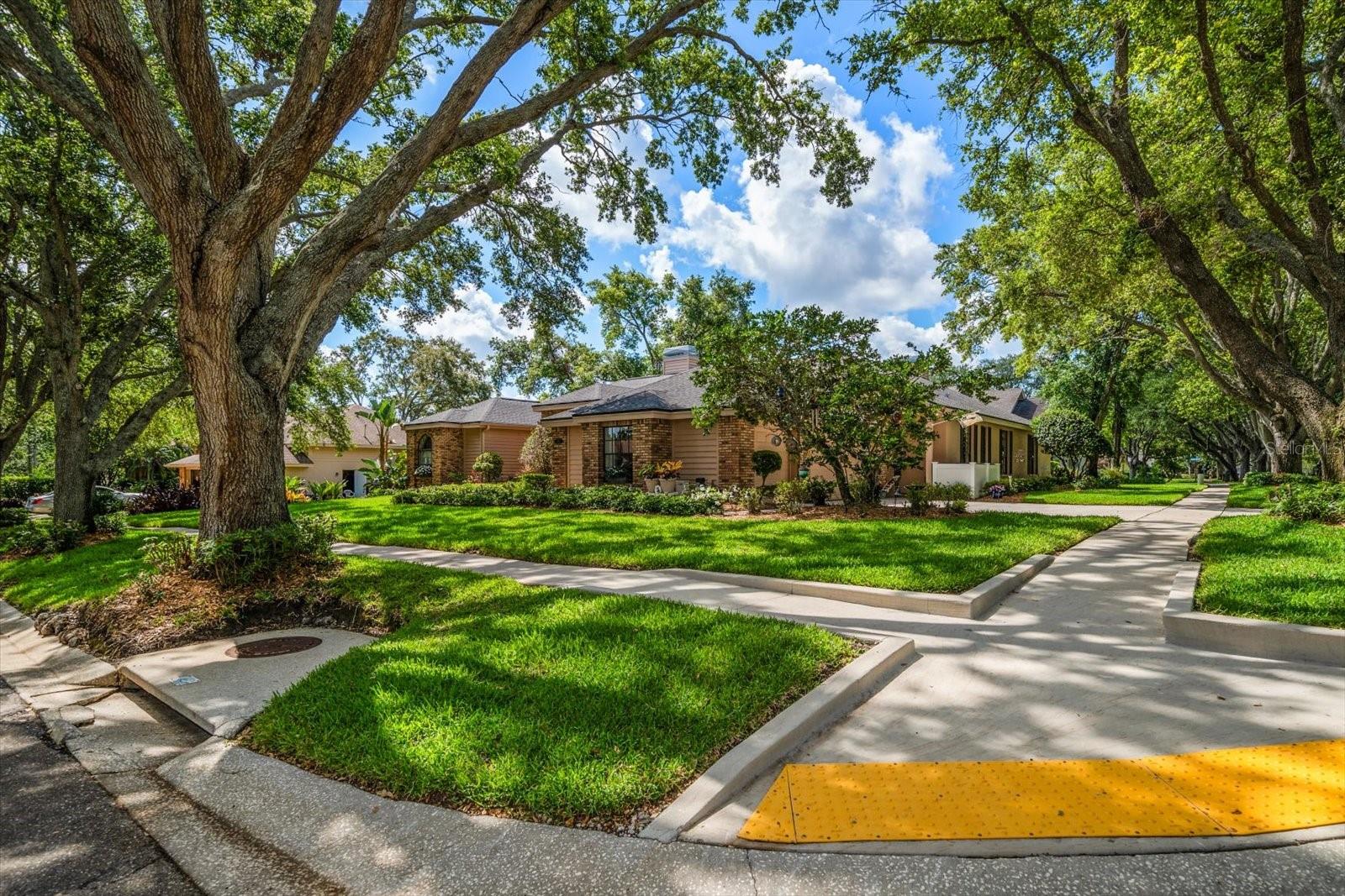 Image 53 of 64 For 2963 Cielo Circle N