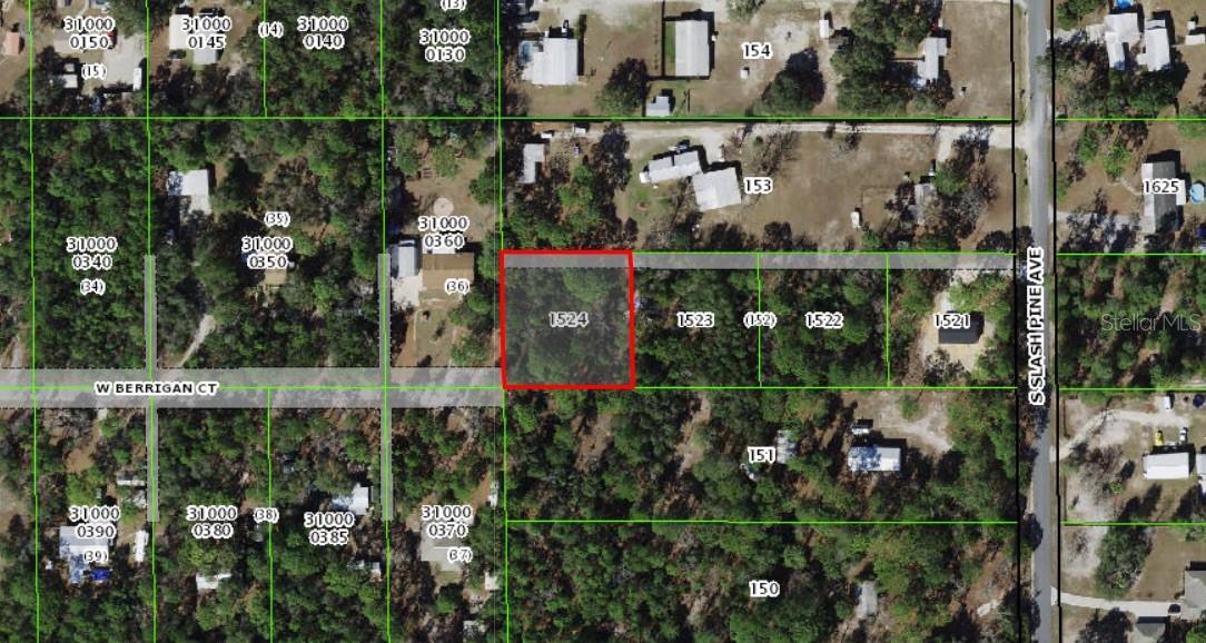 Image 3 of 4 For Slash Pine Avenue
