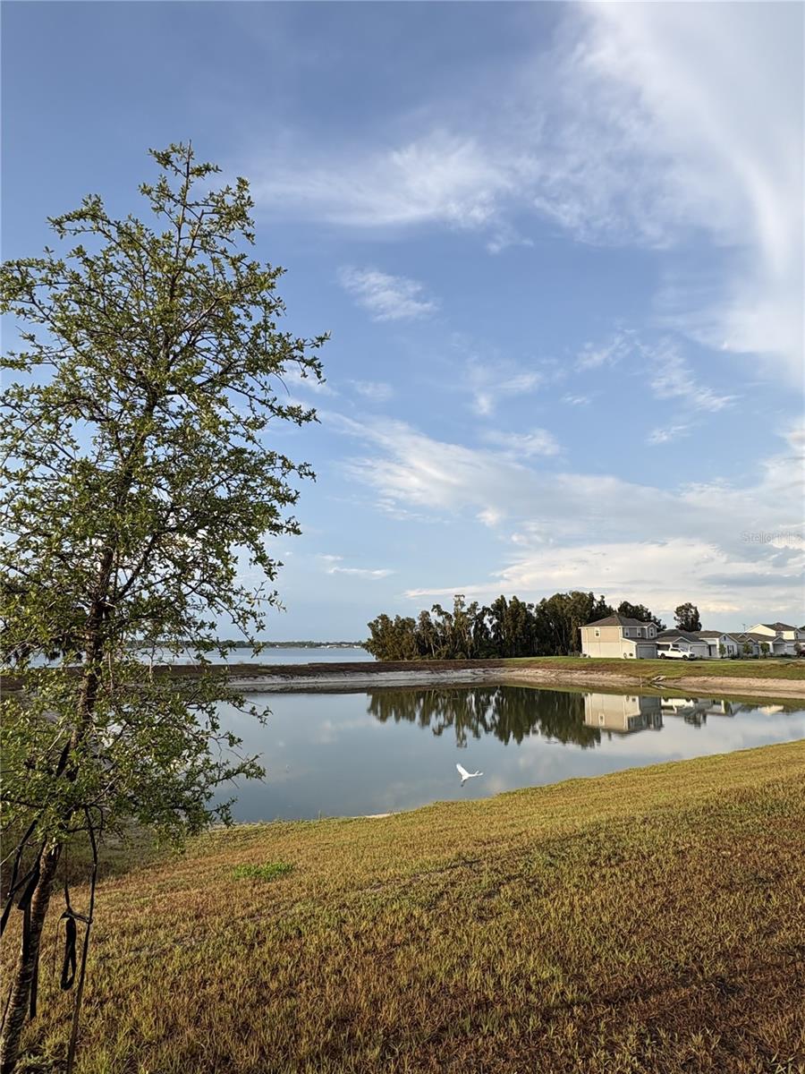 Image 10 of 50 For 748 Trotters Drive