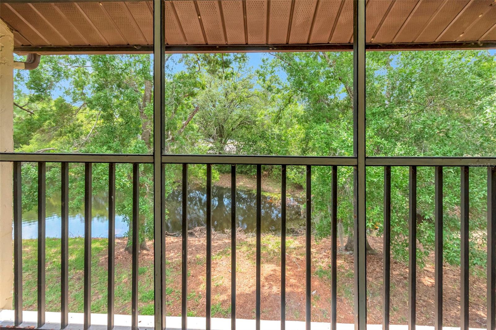 Image 25 of 36 For 1200 Tarpon Woods Boulevard M8