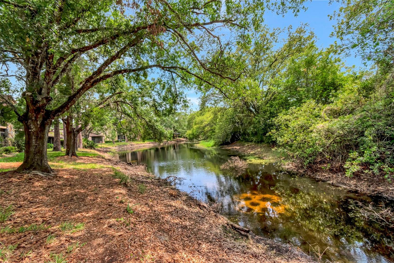 Image 27 of 36 For 1200 Tarpon Woods Boulevard M8
