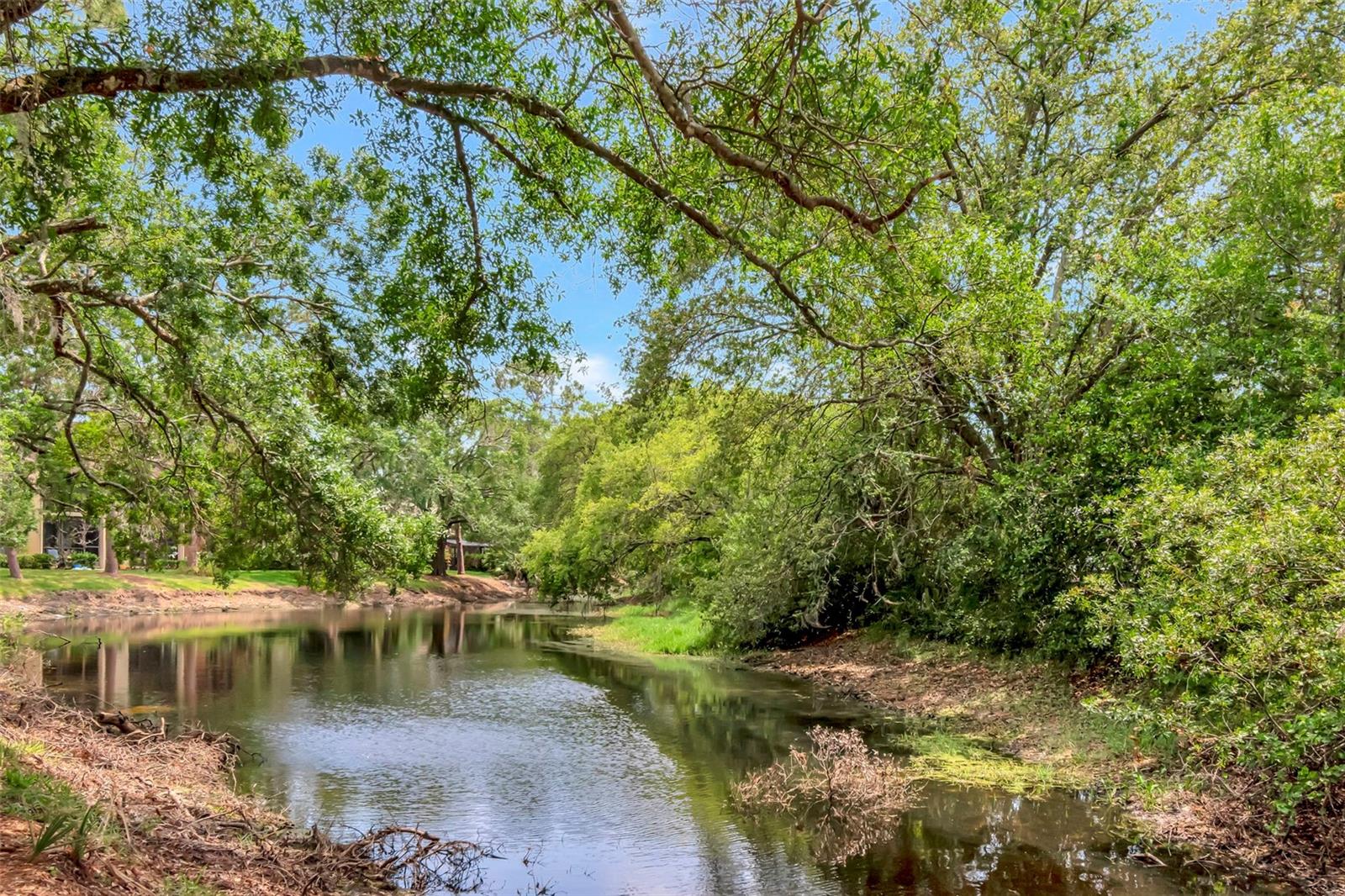 Image 28 of 36 For 1200 Tarpon Woods Boulevard M8