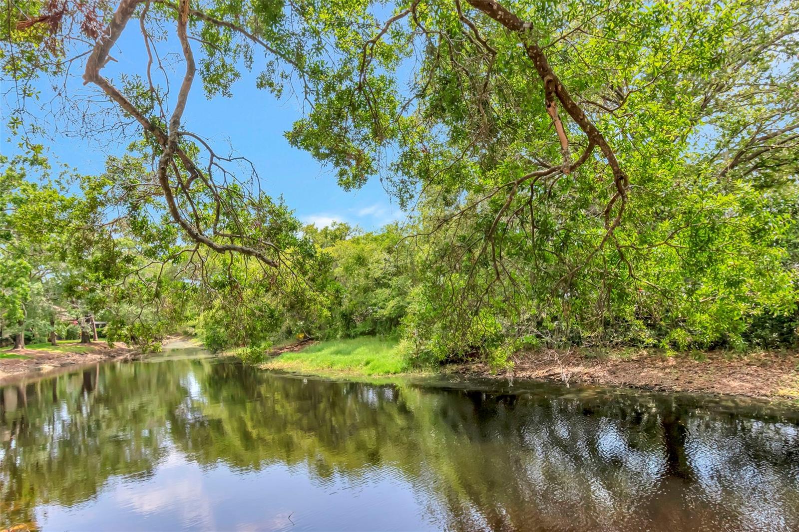 Image 30 of 36 For 1200 Tarpon Woods Boulevard M8