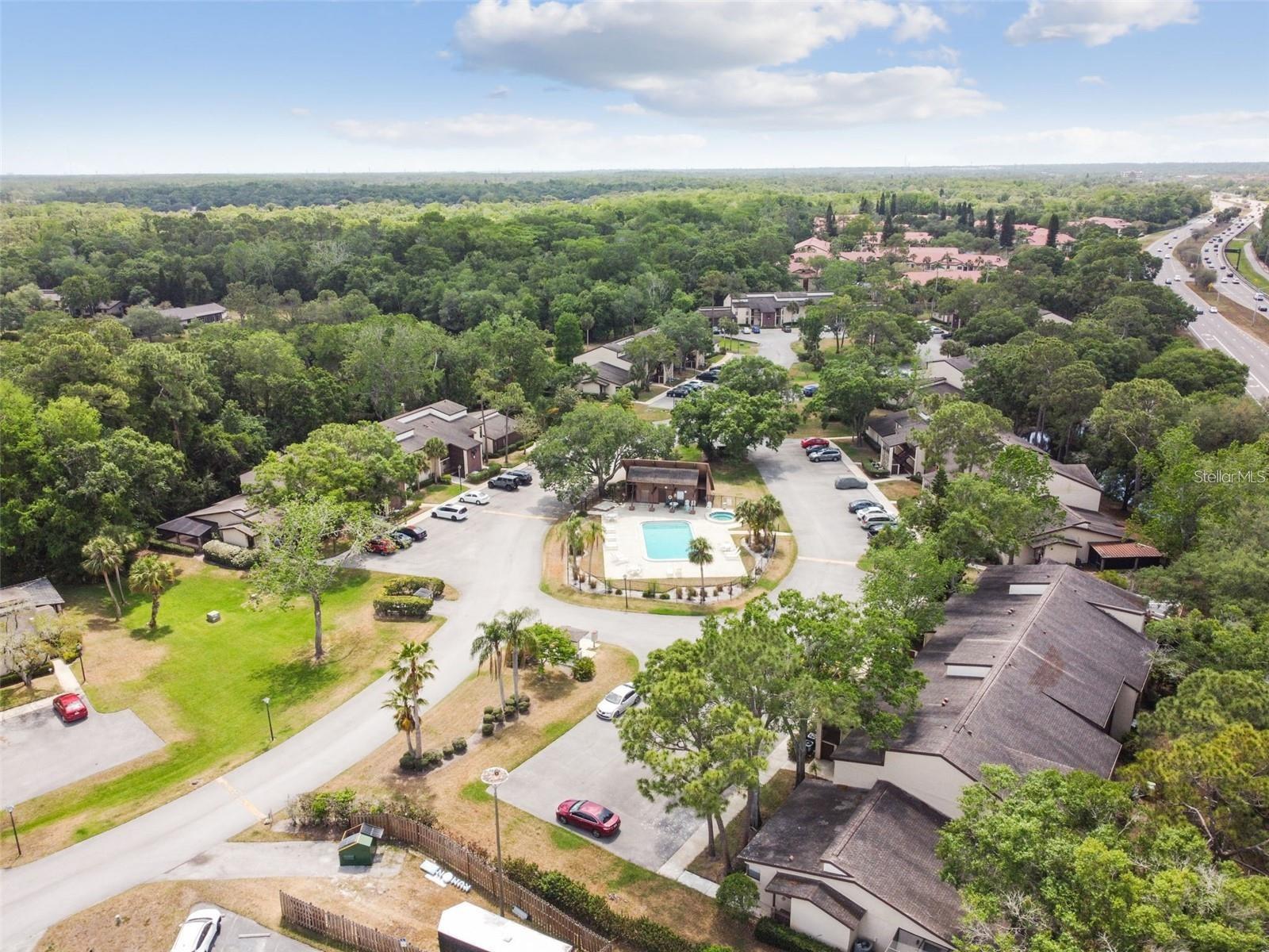Image 34 of 36 For 1200 Tarpon Woods Boulevard M8