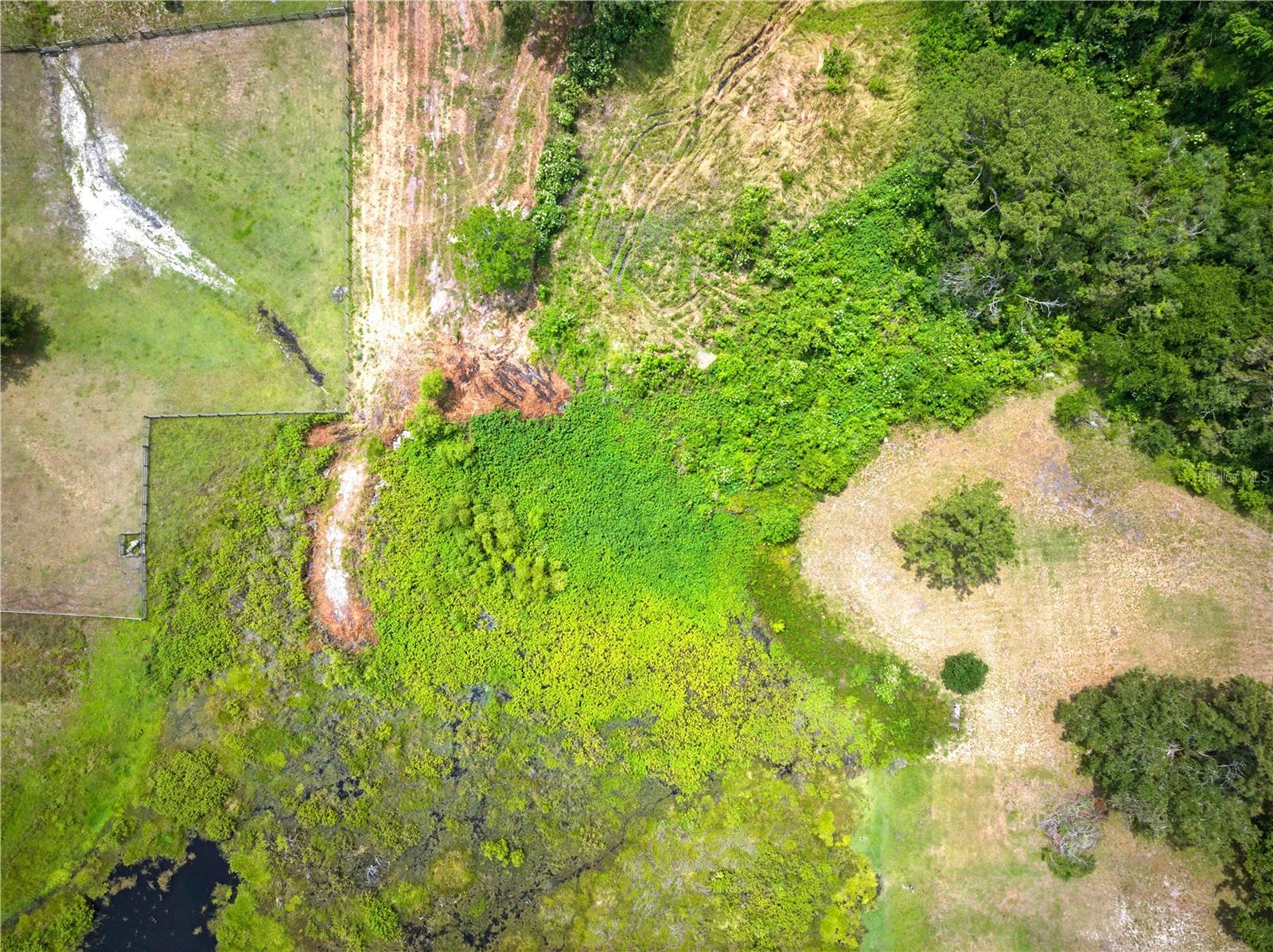 Image 17 of 17 For Dan Brown Hill Road