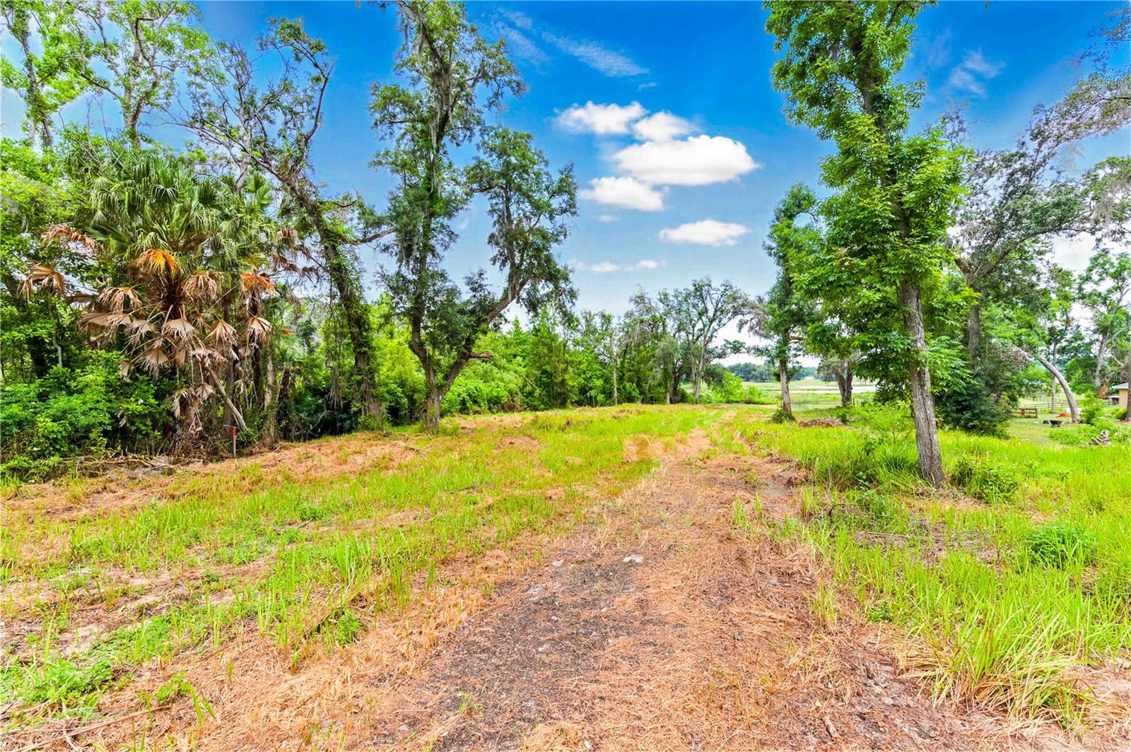 Image 5 of 17 For Dan Brown Hill Road