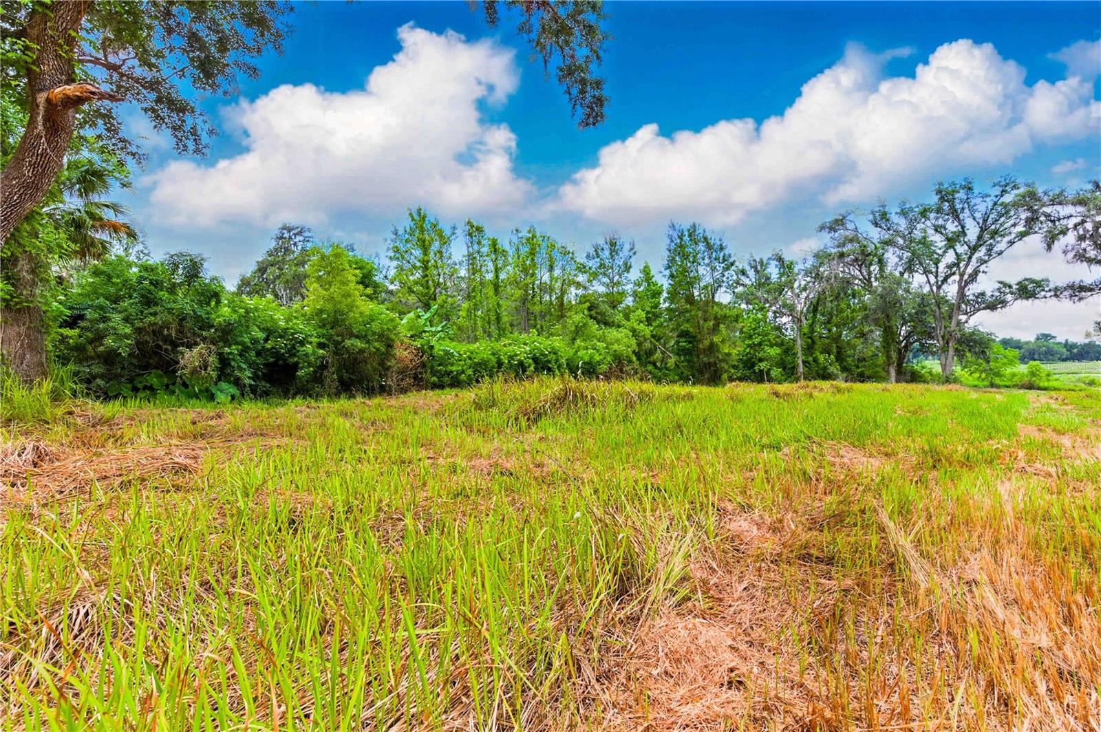 Image 6 of 17 For Dan Brown Hill Road