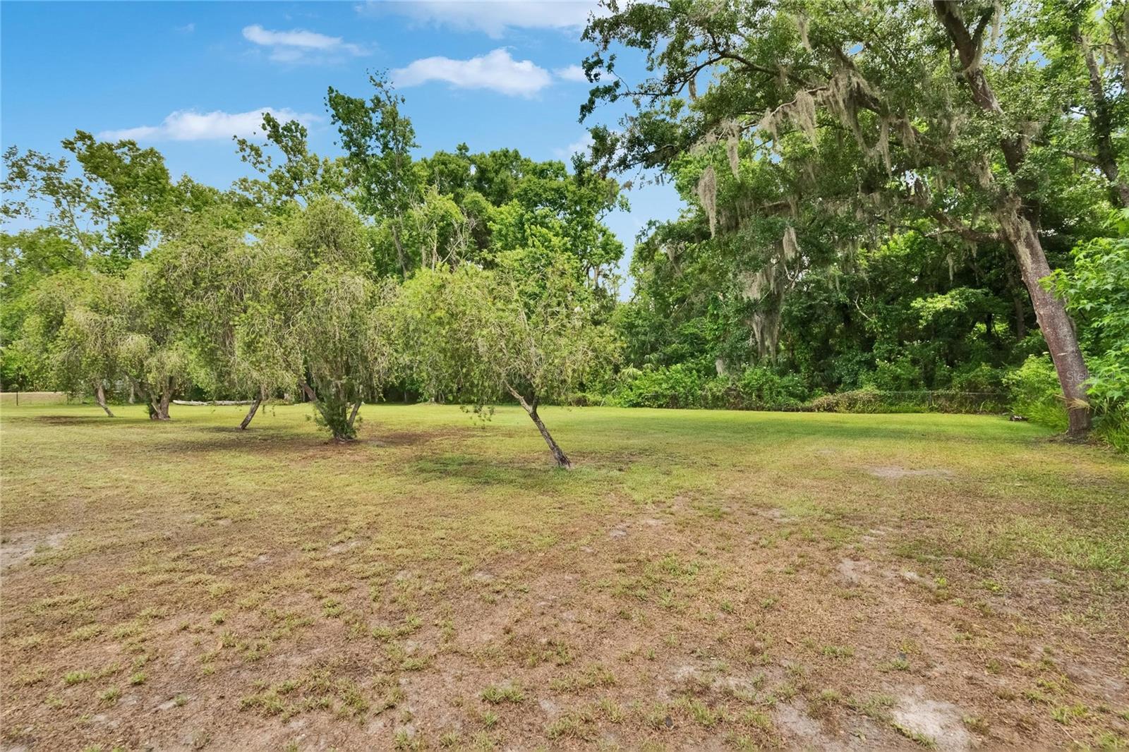 Image 42 of 55 For 4145 Willow Oak Rd