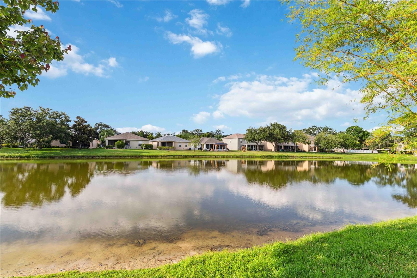Image 49 of 56 For 2262 Lune Court