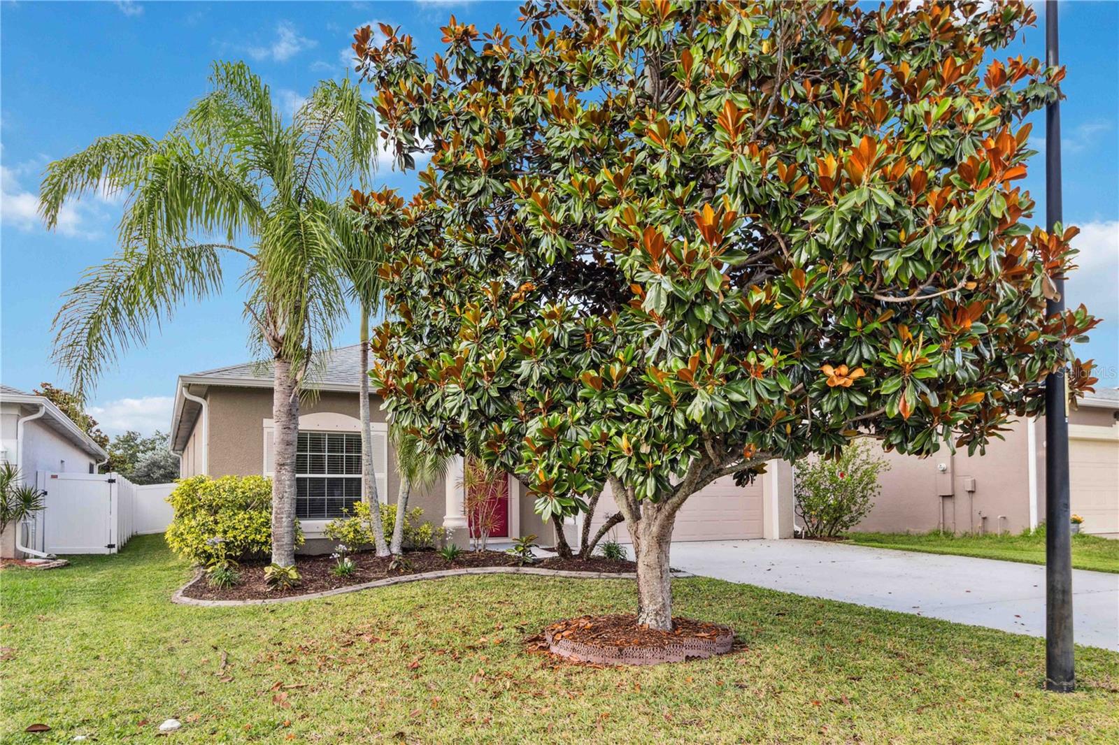 Image 54 of 56 For 2262 Lune Court