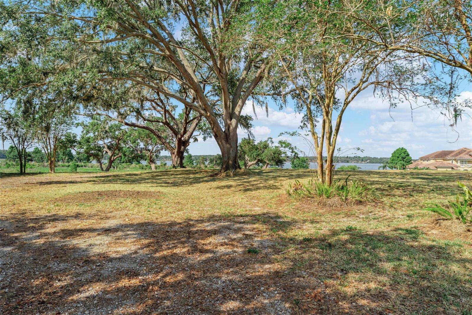 Image 12 of 100 For 12133 Stonelake Ranch Blvd
