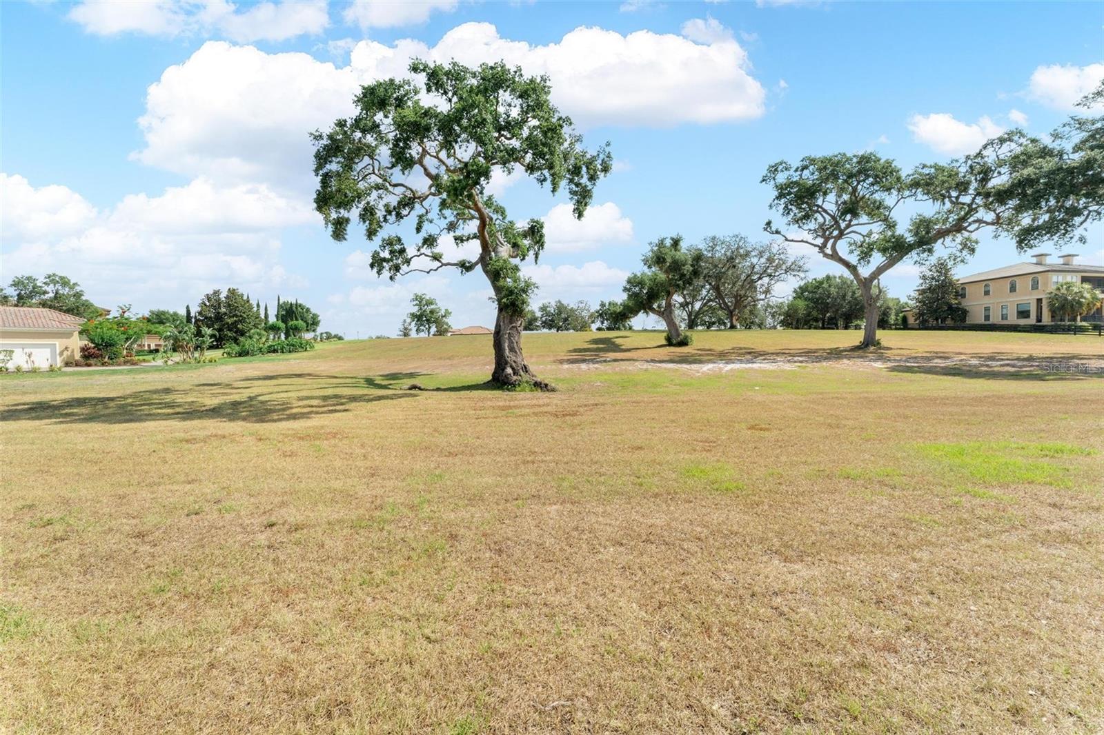 Image 37 of 100 For 12133 Stonelake Ranch Blvd