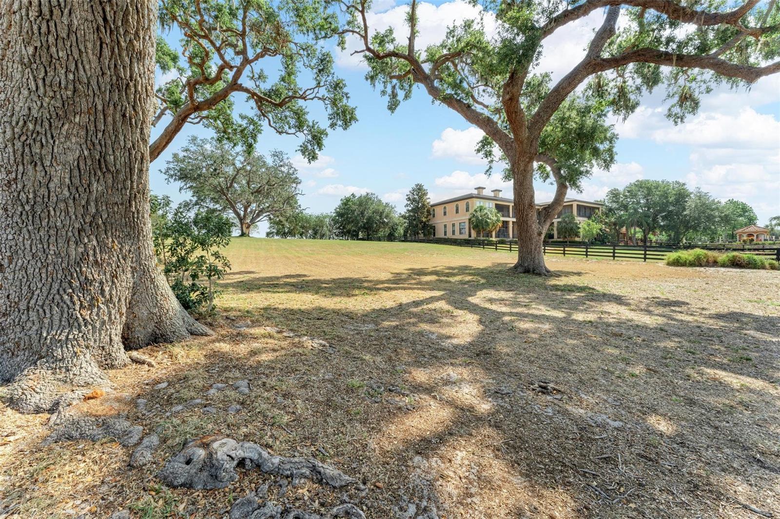 Image 39 of 100 For 12133 Stonelake Ranch Blvd